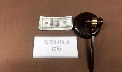 丽水司法亲子鉴定流程是怎样的,丽水司法DNA亲子鉴定哪里可以做