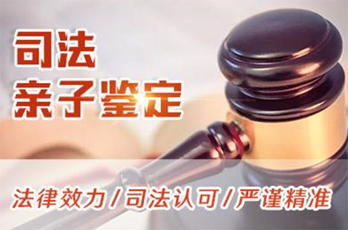 丽水司法DNA亲子鉴定需要如何做,丽水司法亲子鉴定需要多少费用