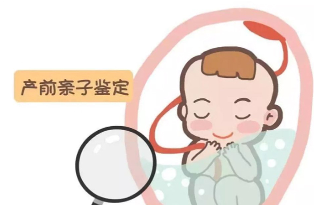 丽水怀孕了怎么做亲子鉴定,丽水办理胎儿亲子鉴定需要什么手续