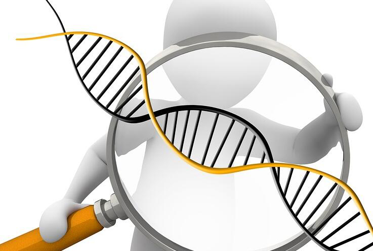 怀孕几个月怎么确认宝宝是谁的[丽水],丽水无创孕期亲子鉴定费用是多少