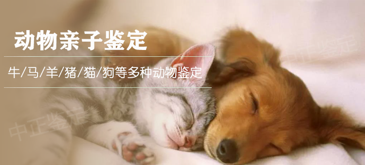 丽水动物鉴定