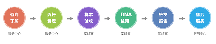 丽水隐私亲子鉴定流程
