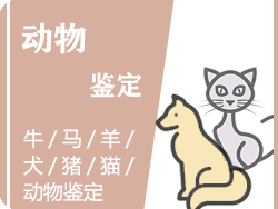 丽水动物鉴定