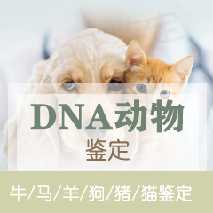 丽水动物鉴定